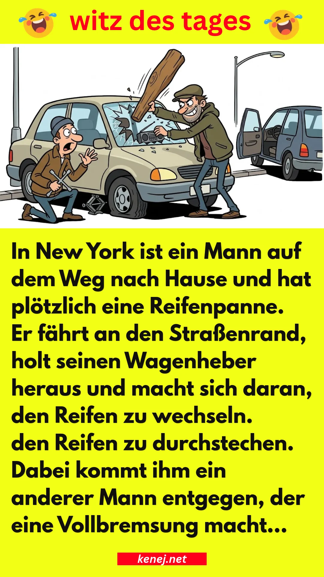 witz new york