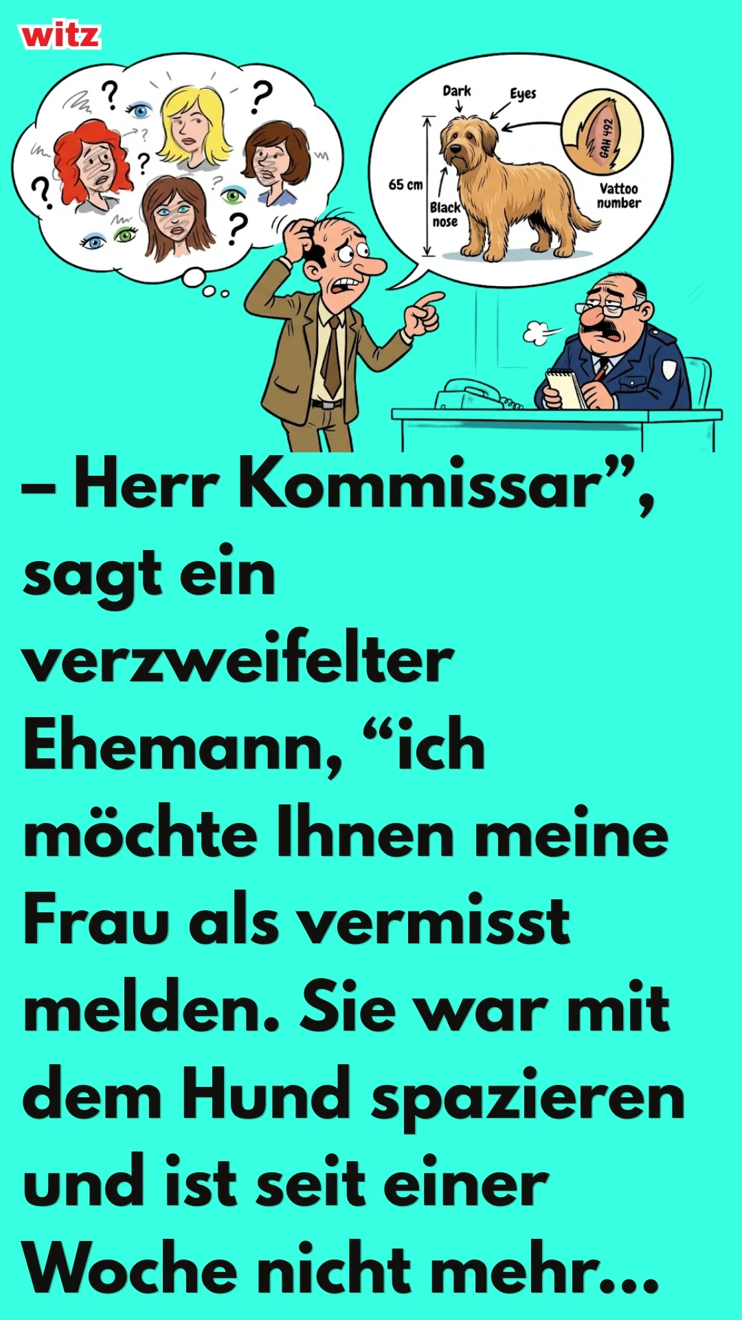 MELDE WITZ 
