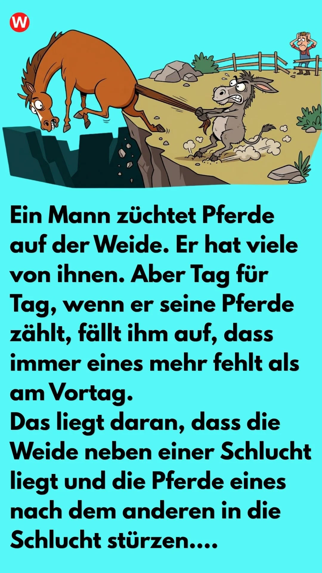 WITZ ÜBER DEN ESEL PETRO